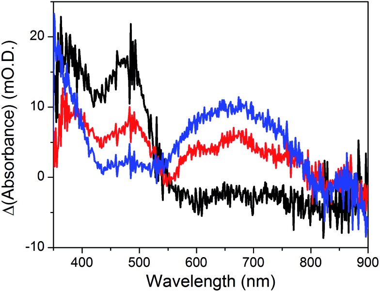 Fig. 10