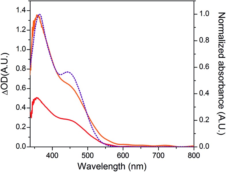 Fig. 7