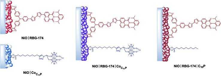 Fig. 3