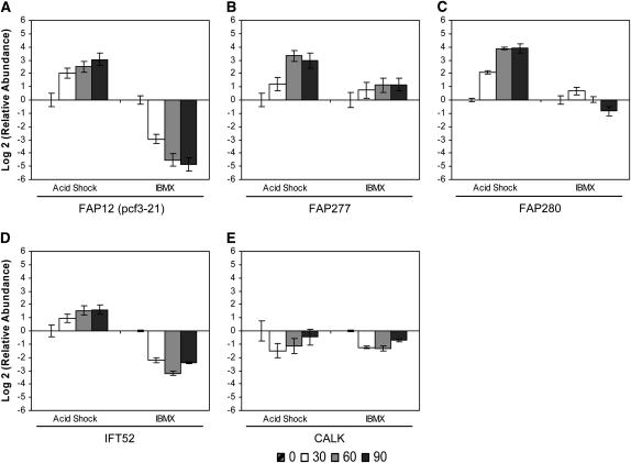 Figure 4.—