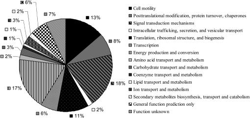 Figure 2.—