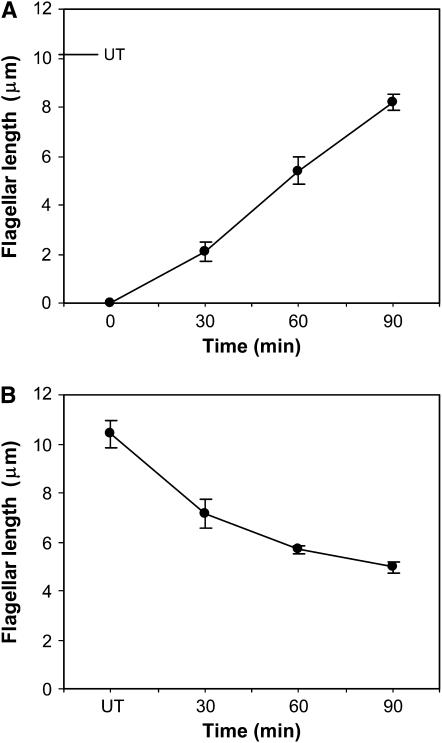 Figure 1.—