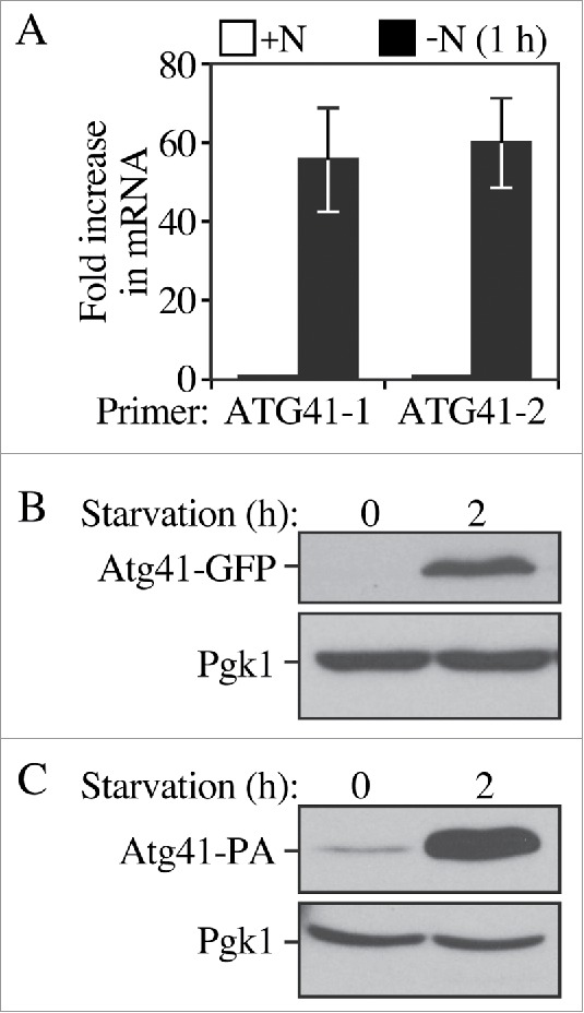 Figure 2.