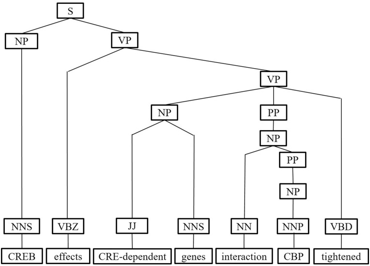 Figure 11.