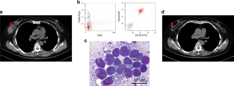 Fig. 6