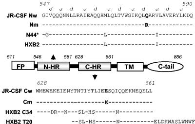 FIG. 1.