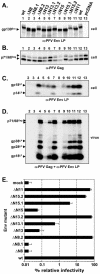 FIG. 6.