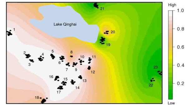 Figure 5