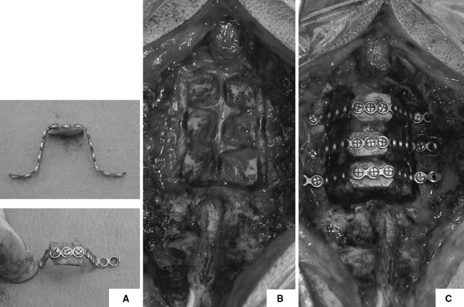 Fig. 3