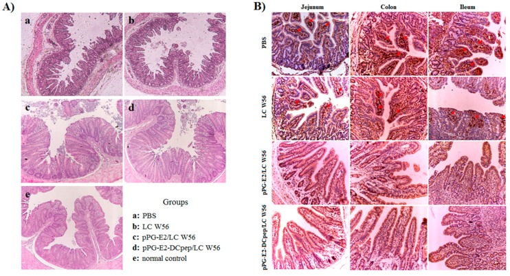 Figure 9