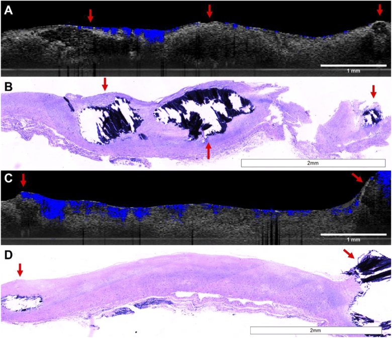 Fig. 9.