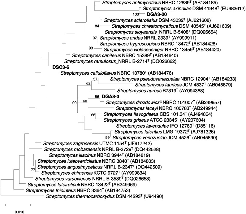 Figure 2