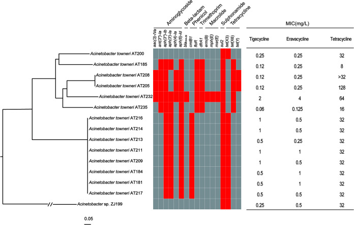 FIG 1