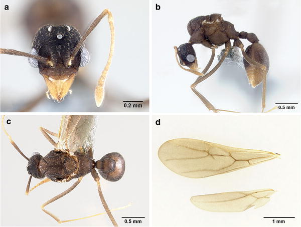 Fig. 3