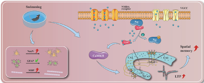 Image, graphical abstract