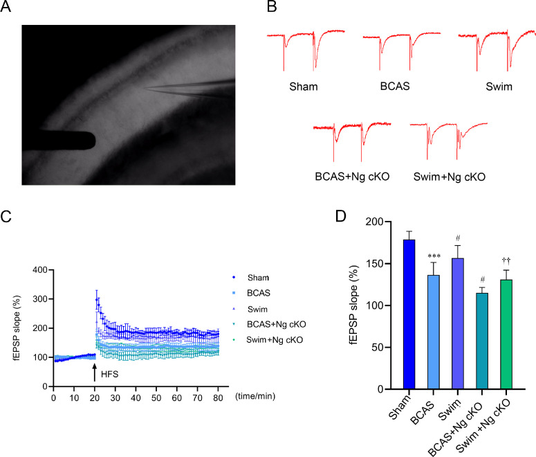 Fig 4