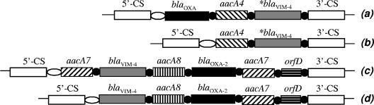 FIG. 2.