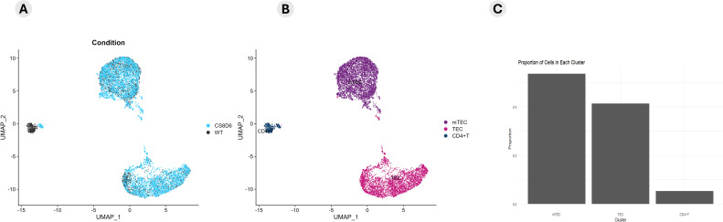 Figure 6