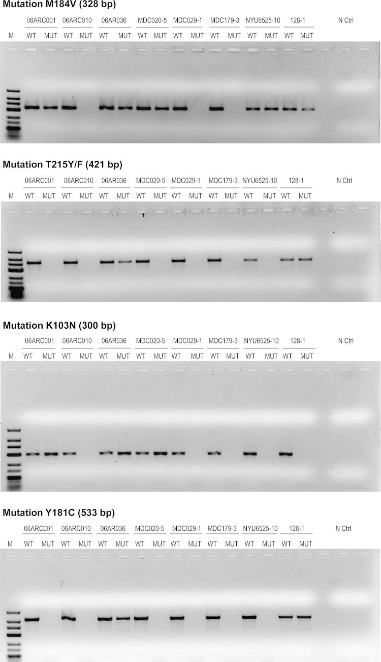 FIG 1