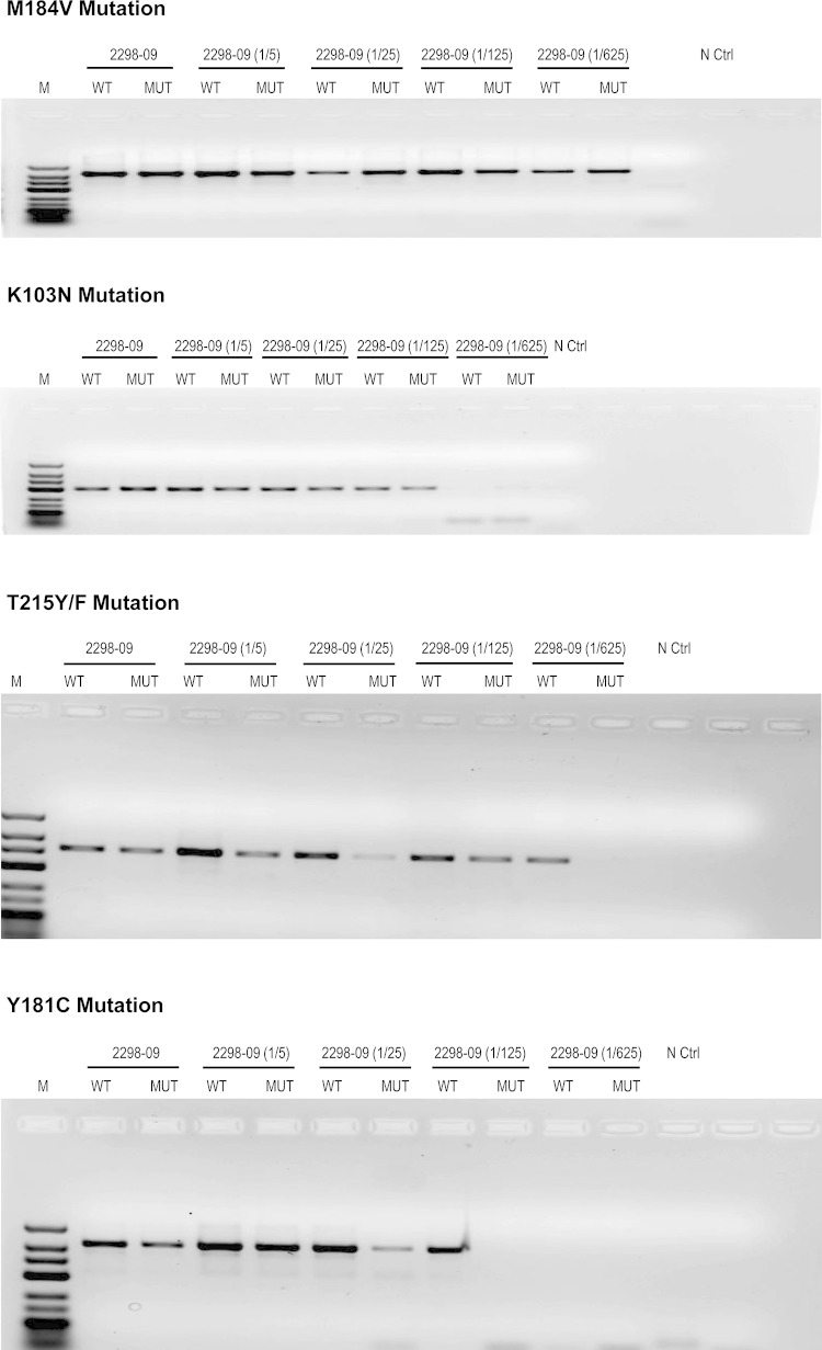 FIG 3