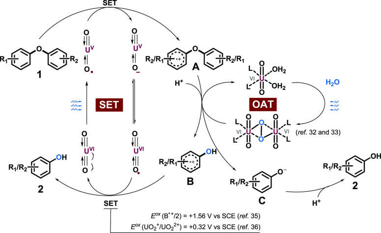 Scheme 5