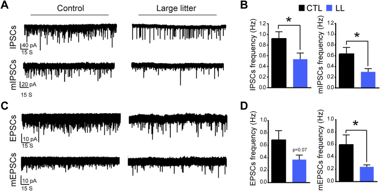 Figure 5