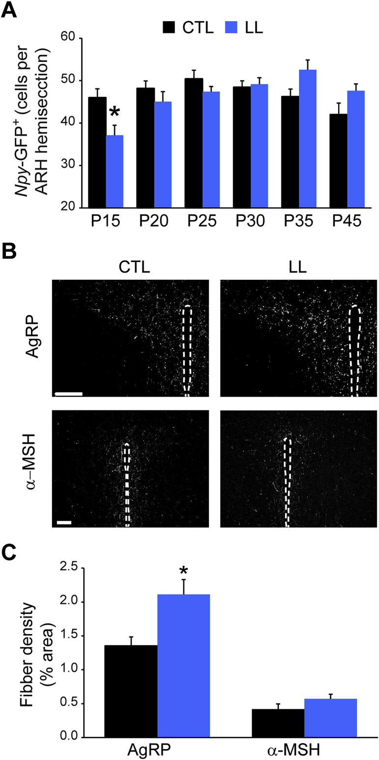 Figure 3