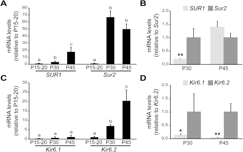 Figure 6