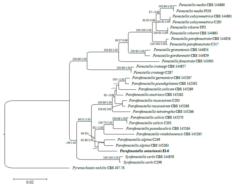 Figure 2