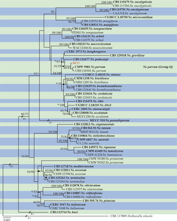 Fig. 7