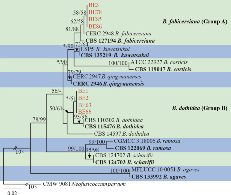 Fig. 2