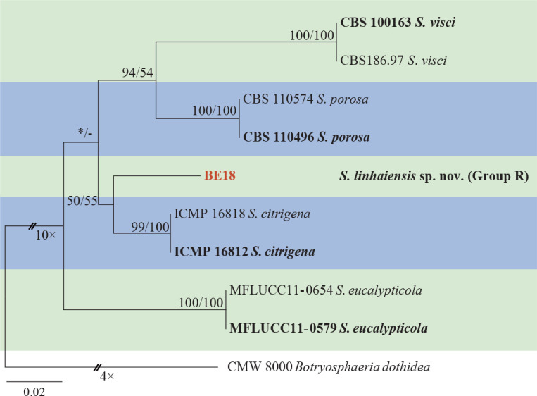 Fig. 8