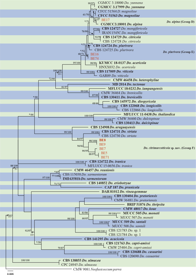 Fig. 4