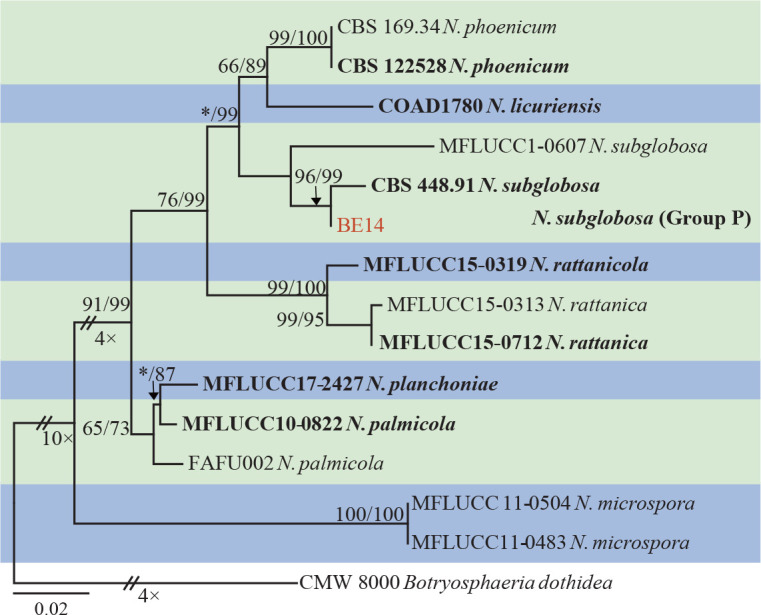 Fig. 6