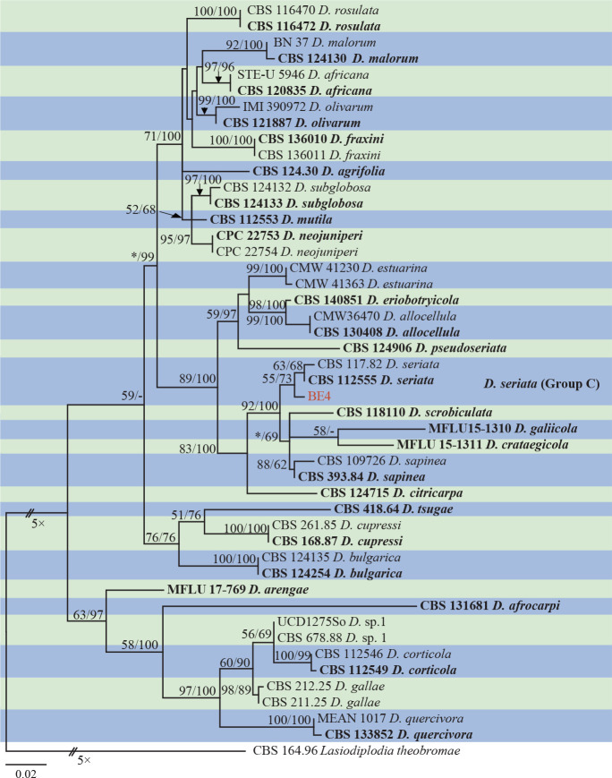 Fig. 3