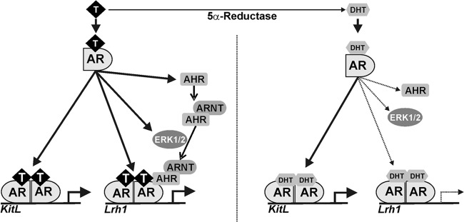 Fig 10