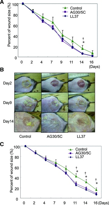 Fig 6