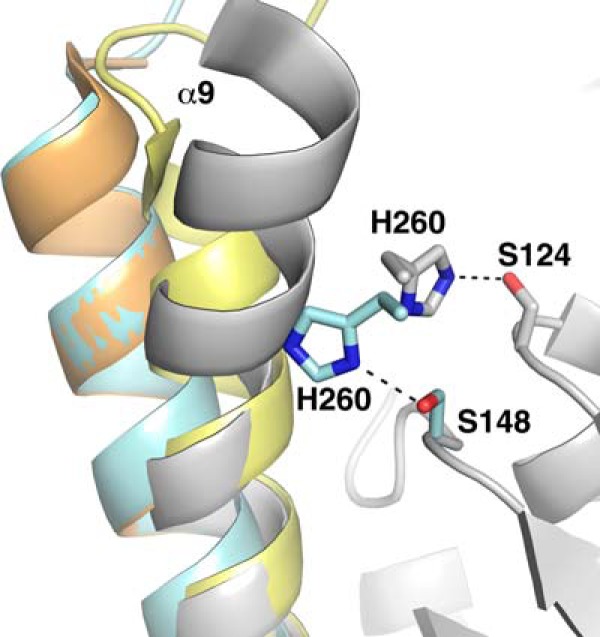 FIGURE 5.