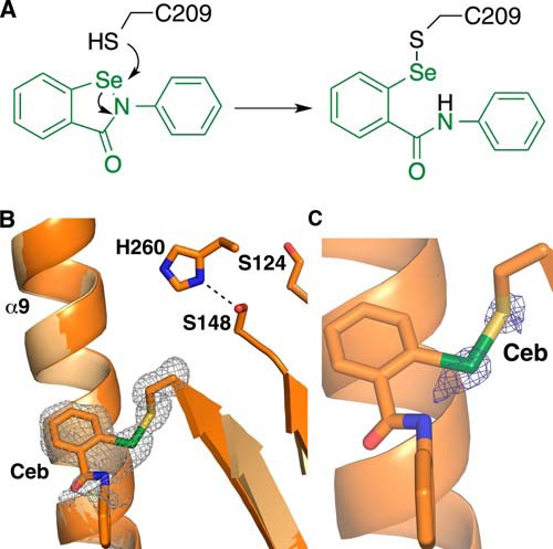 FIGURE 4.