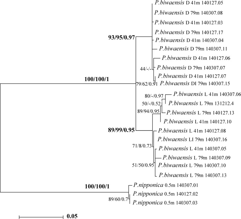 Fig 10