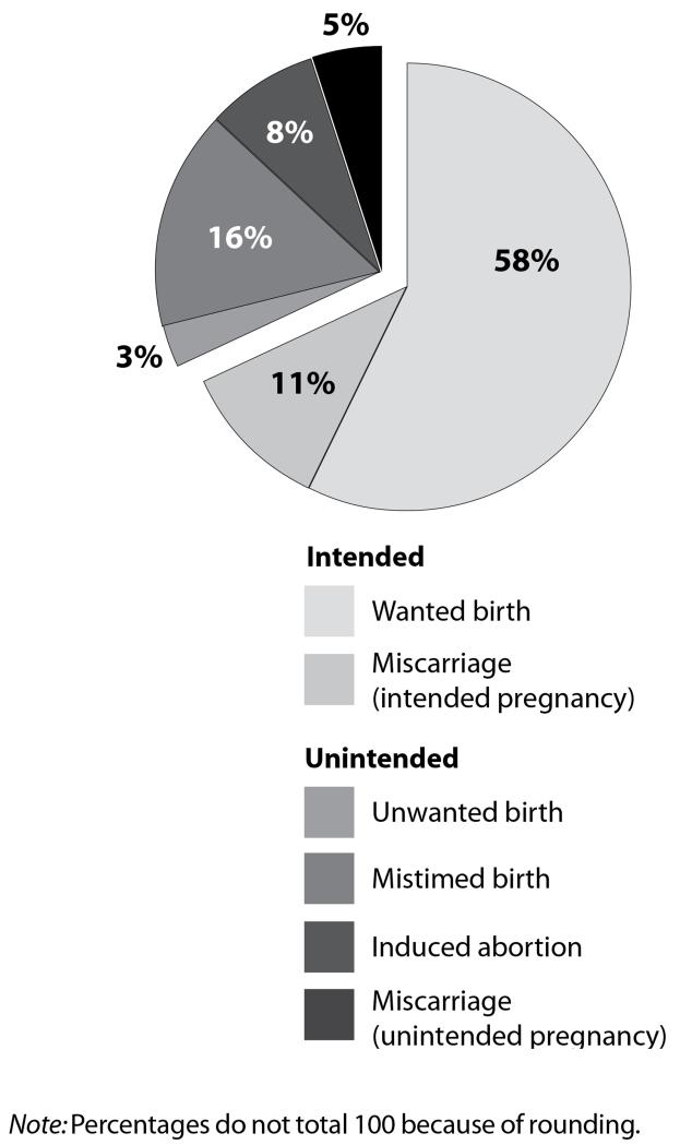 APPENDIX FIGURE 1