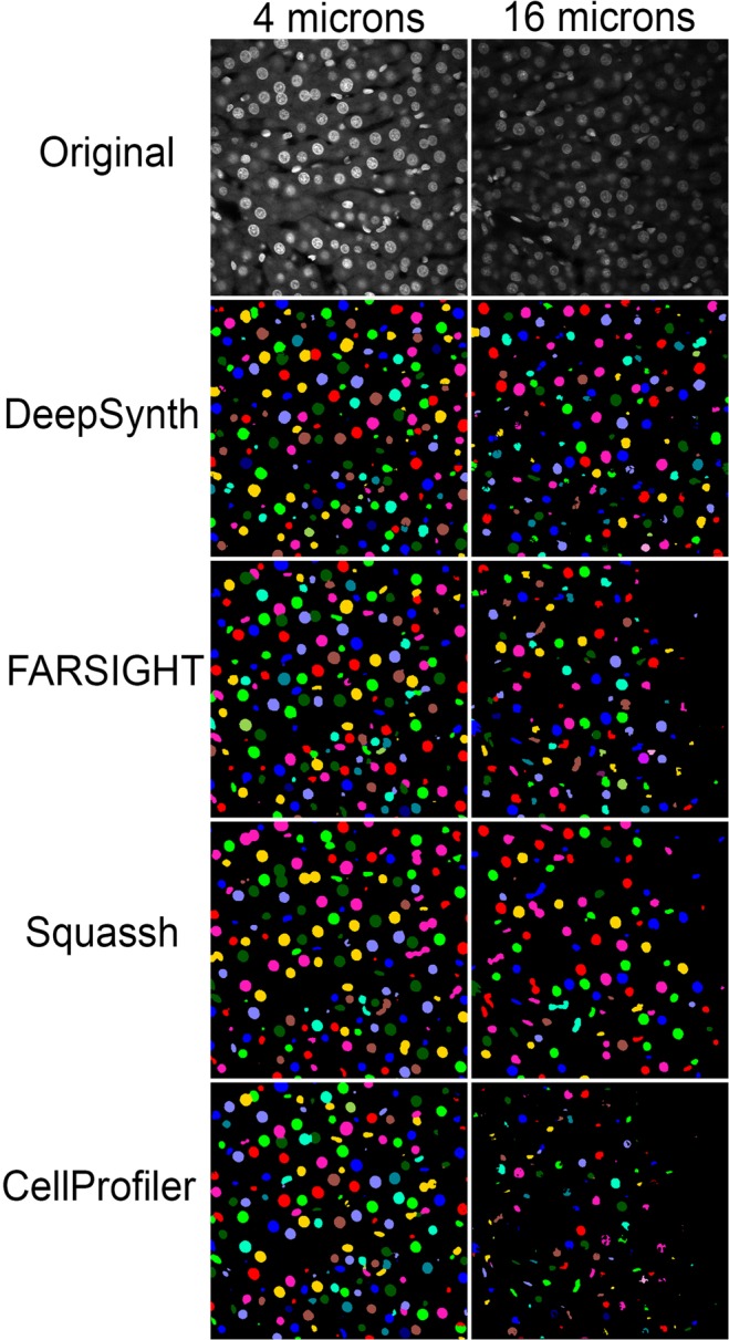 Figure 6