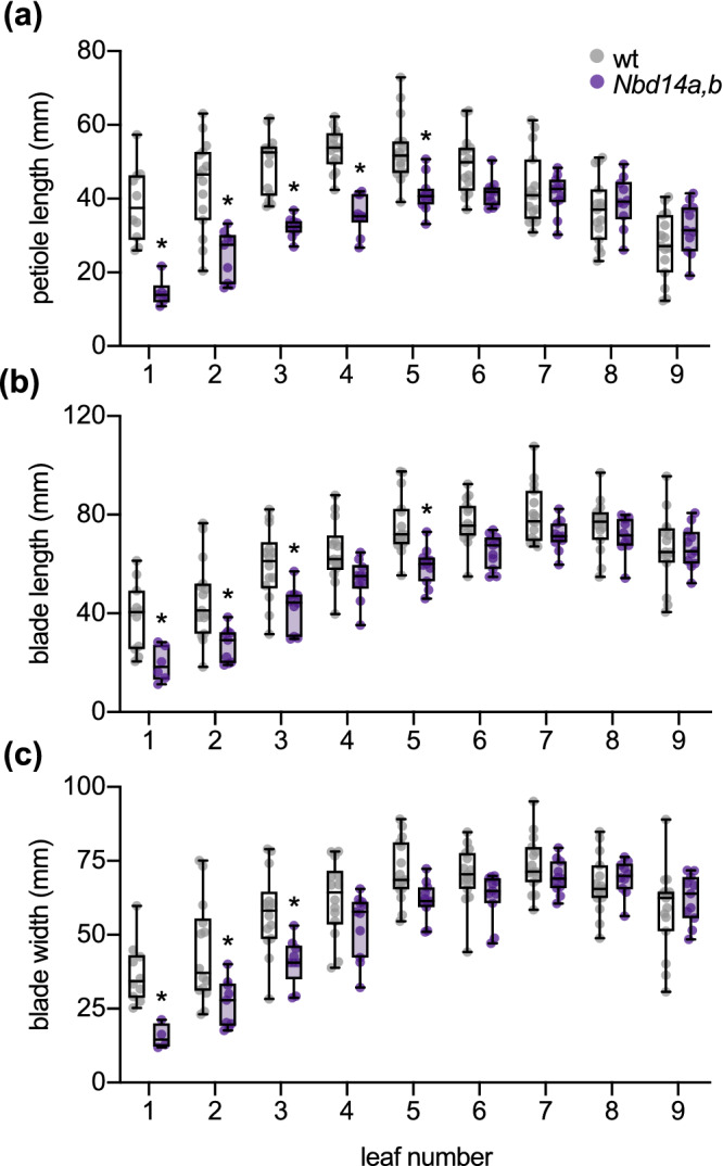 FIGURE 3