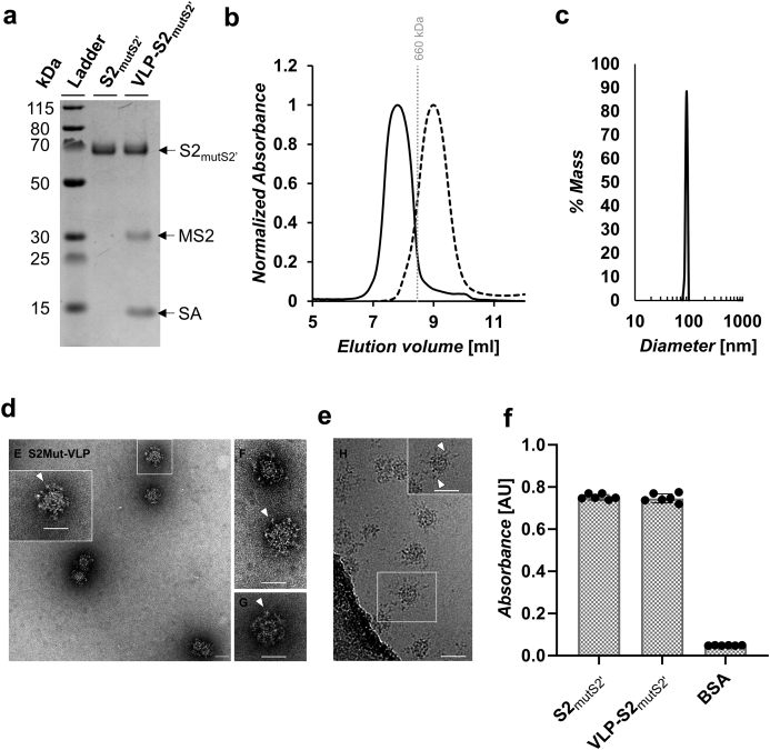 Fig. 3