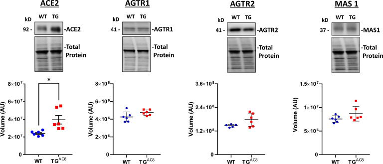 Figure 13—figure supplement 3.