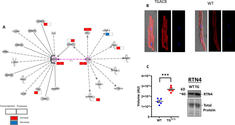 Figure 13—figure supplement 9.