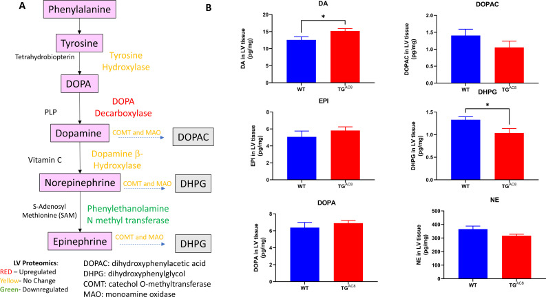 Figure 11—figure supplement 1.