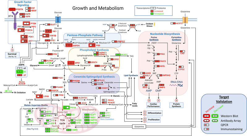 Figure 12.