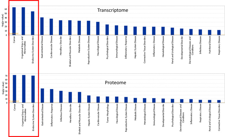 Figure 10—figure supplement 3.