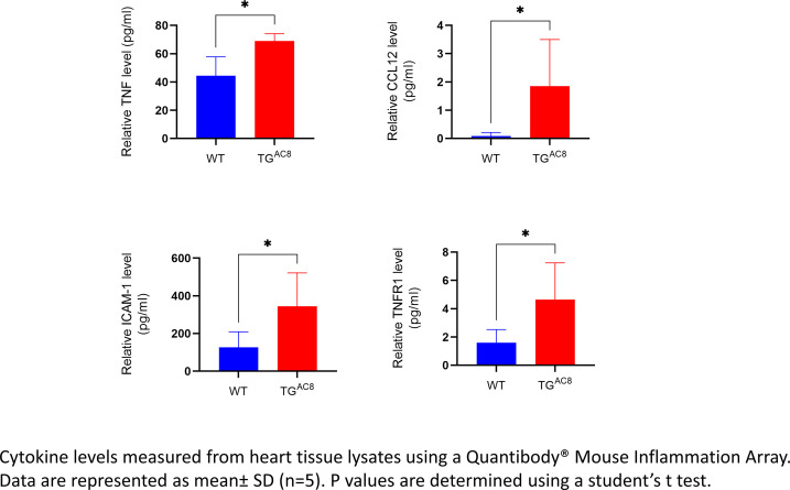 Figure 13—figure supplement 6.